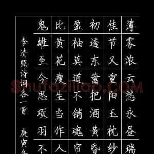 罗扬 硬笔楷书作品《李清照诗词》图片欣赏