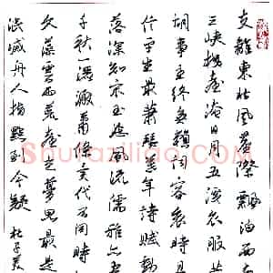 杜坤硬笔录杜子美诗二首  硬笔作品图片欣赏下载