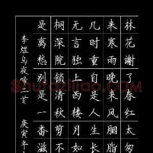 罗扬 硬笔楷书作品《李煜词乌夜啼二首》图片欣赏