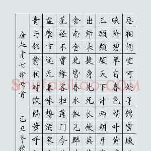 罗扬 硬笔楷书作品《杜甫七律两首》图片欣赏