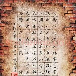 盛书城(成人组 优秀奖)硬笔书法大赛 获奖作品图片欣赏