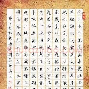 张晓华(成人组 优秀奖)硬笔书法大赛 获奖作品图片欣赏