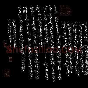 杨文 硬笔草书作品《苏东坡词四首》图片欣赏