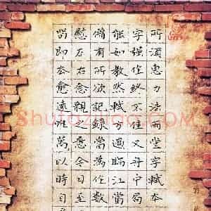 杨宗云(成人组 优秀奖)硬笔书法大赛 获奖作品图片欣赏