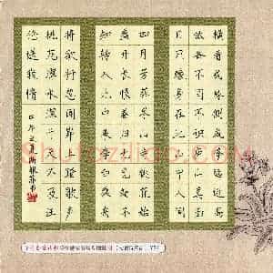 陆银菲(少儿组 12岁)硬笔书法大赛 入围作品选登图片欣赏