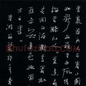 尹寿坤 硬笔行书作品《陆游梅花诗二首》图片欣赏