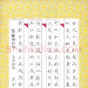 石鎏 硬笔楷书作品《节录斋物论》图片欣赏