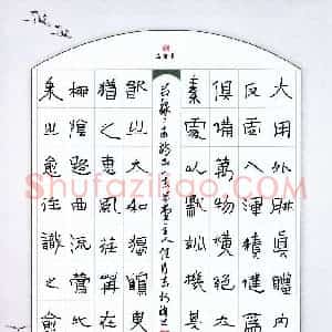 任行志 硬笔硬笔隶书作品《节录二十四诗品》图片欣赏