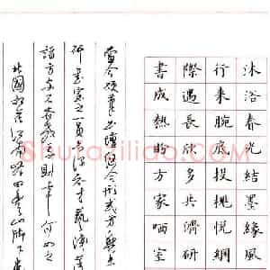 罗云龙 硬笔楷书作品《自作诗一首》图片欣赏