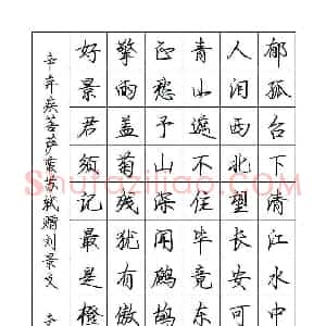 罗扬 硬笔行书作品《辛弃疾苏轼词》图片欣赏