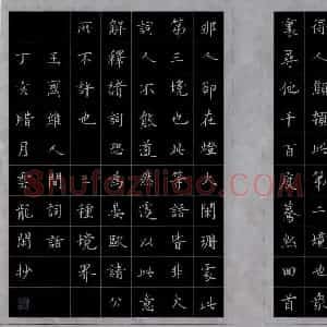罗云龙 硬笔楷书作品《王国维人间词话》图片欣赏