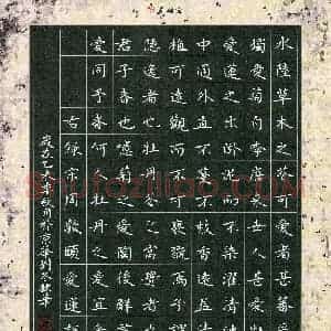 刘冬(成人组 优秀奖)硬笔书法大赛 获奖作品图片欣赏