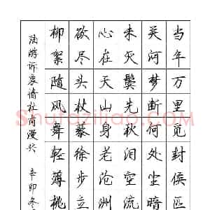 罗扬 硬笔行书作品《陆游词杜甫诗》图片欣赏
