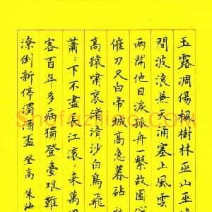 朱海波 硬笔楷书作品《杜甫诗二首》图片欣赏