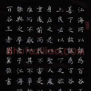 刘冀强 硬笔楷书作品《道德经节录》图片欣赏