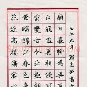 罗志刚 硬笔楷书作品《杜甫七律一首》图片欣赏
