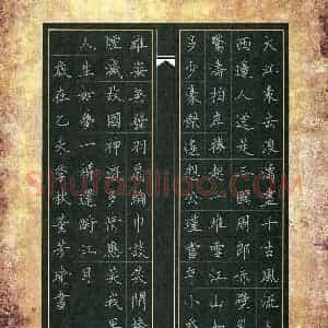 董芳瑜(成人组 优秀奖)硬笔书法大赛 获奖作品图片欣赏