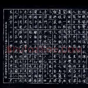 舒勇(少儿组 17岁)硬笔书法大赛 入围作品选登图片欣赏