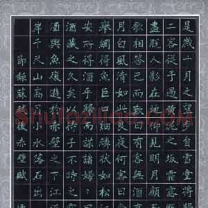 石乃安 硬笔楷书作品《节录苏轼后赤壁赋》图片欣赏