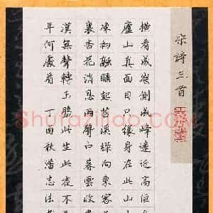 潘志法(成人组 优秀奖)硬笔书法大赛 获奖作品图片欣赏