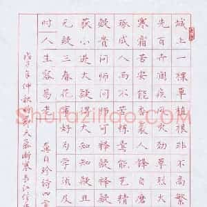 张长江 硬笔楷书作品《龚自珍诗四首》图片欣赏