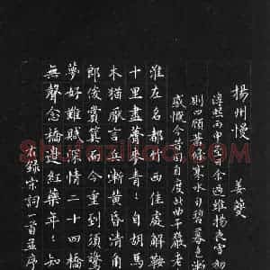 吴志勇 硬笔楷书作品《宋词一首》图片欣赏