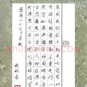 闻毅敏 硬笔行书作品《辛弃疾词》图片欣赏