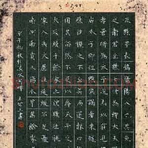 王世玉(少儿组 15岁 铜奖)硬笔书法大赛 获奖作品图片欣赏