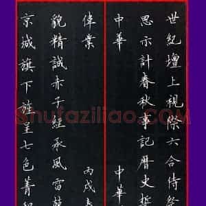 范益军 硬笔楷书作品《中华世纪坛长联》图片欣赏