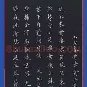 范益军 硬笔楷书作品《唐诗二首》图片欣赏
