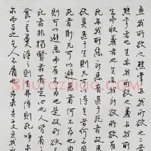王正良 硬笔行书作品《节录孟子文鱼我所欲也》图片欣赏