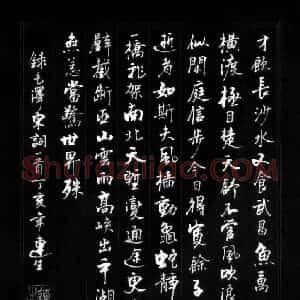 王连生 硬笔行书作品《毛泽东词一首》图片欣赏