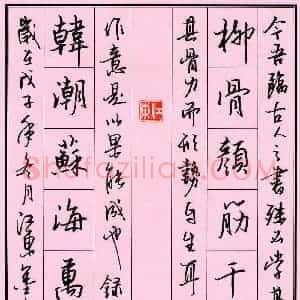 陈广 硬笔行书作品《柳骨韩潮联》图片欣赏