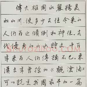 王正良 硬笔行书作品《现代文横抄》图片欣赏