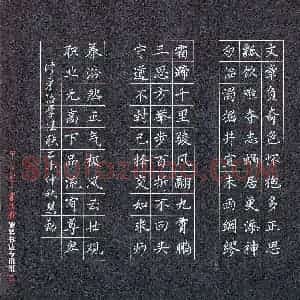 尹慧勤(成人组)硬笔书法大赛 入围作品选登图片欣赏