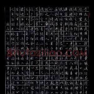 王德泉 硬笔行书作品《古诗文选抄》图片欣赏