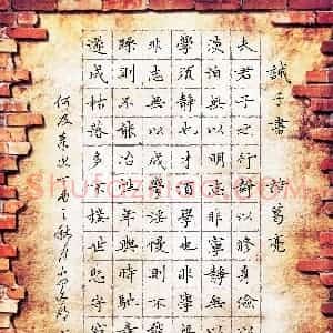 翁文明(成人组 优秀奖)硬笔书法大赛 获奖作品图片欣赏