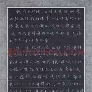 朱圣苑(少儿组 13岁 铜奖)硬笔书法大赛 获奖作品图片欣赏