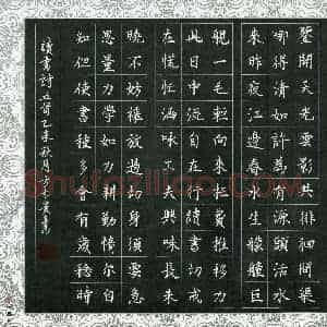 方太贵(成人组)硬笔书法大赛 入围作品选登图片欣赏