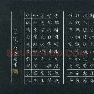 费伟荣 硬笔楷书作品《唐诗三首》图片欣赏