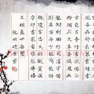 阮昕(成人组 优秀奖)硬笔书法大赛 获奖作品图片欣赏