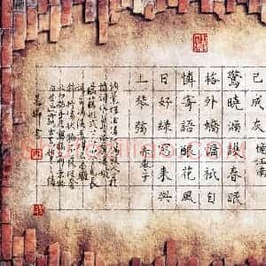 林晨璘(少儿组 17岁 铜奖)硬笔书法大赛 获奖作品图片欣赏
