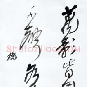吴一桥 硬笔行草作品《五言诗句》图片欣赏