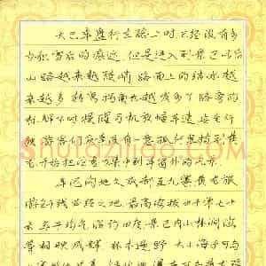 孙晓丹(少儿组 13岁 铜奖)硬笔书法大赛 获奖作品图片欣赏