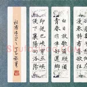 王银荣(成人组 优秀奖)硬笔书法大赛 获奖作品图片欣赏
