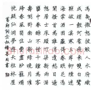 阚学英 硬笔楷书作品《葛郯词念奴娇》图片欣赏