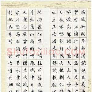吴珣琪(少儿组 9岁 金奖)硬笔书法大赛 获奖作品图片欣赏