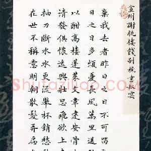 张楚(成人组 优秀奖)硬笔书法大赛 获奖作品图片欣赏