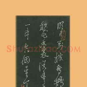 谢继东 硬笔草书作品《辛弃疾词一首》图片欣赏