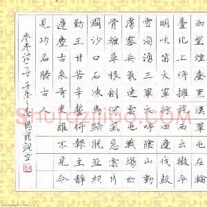 杨宠观 硬笔楷书作品《岑参诗一首》图片欣赏
